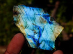Polished One Side Labradorite Slices x 35 From Madagascar - Toprock Gemstones and Minerals 