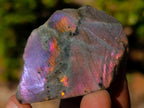 Polished One Side Labradorite Slices x 35 From Madagascar - Toprock Gemstones and Minerals 