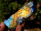 Polished One Side Labradorite Slices x 35 From Madagascar - Toprock Gemstones and Minerals 