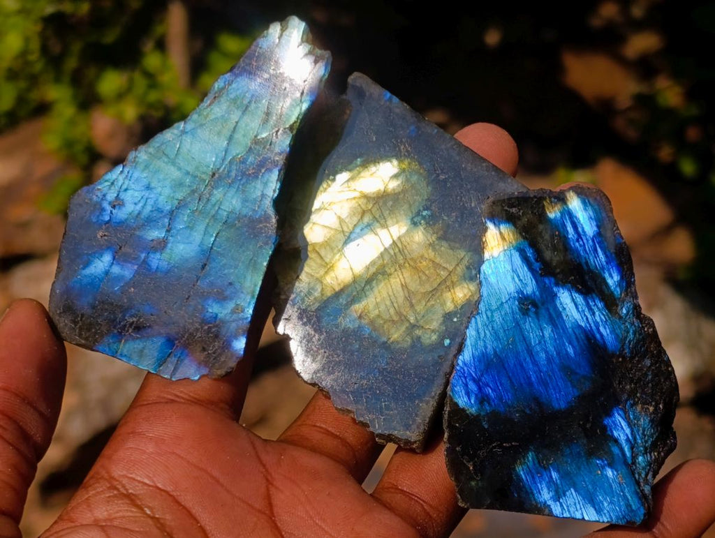Polished One Side Labradorite Slices x 35 From Madagascar - Toprock Gemstones and Minerals 