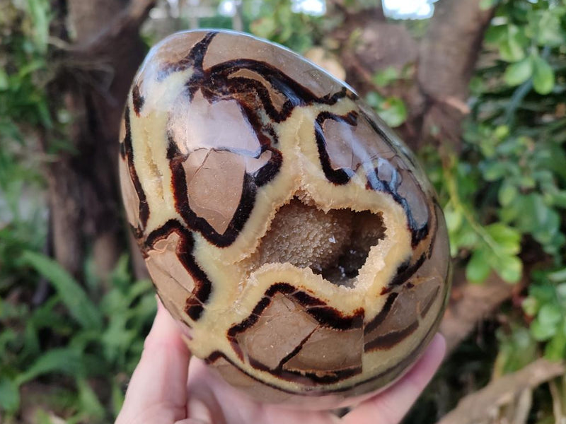Polished Large Septerye Egg x 1 From Mahajanga, Madagascar - Toprock Gemstones and Minerals 