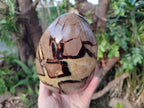 Polished Large Septerye Egg x 1 From Mahajanga, Madagascar - Toprock Gemstones and Minerals 