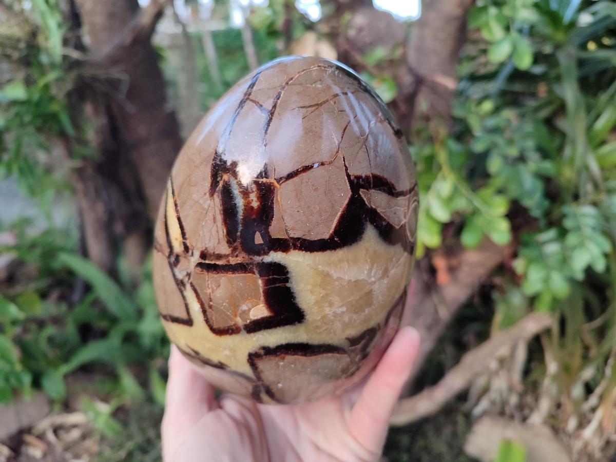 Polished Large Septerye Egg x 1 From Mahajanga, Madagascar - Toprock Gemstones and Minerals 