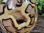 Polished Large Septerye Egg x 1 From Mahajanga, Madagascar - Toprock Gemstones and Minerals 