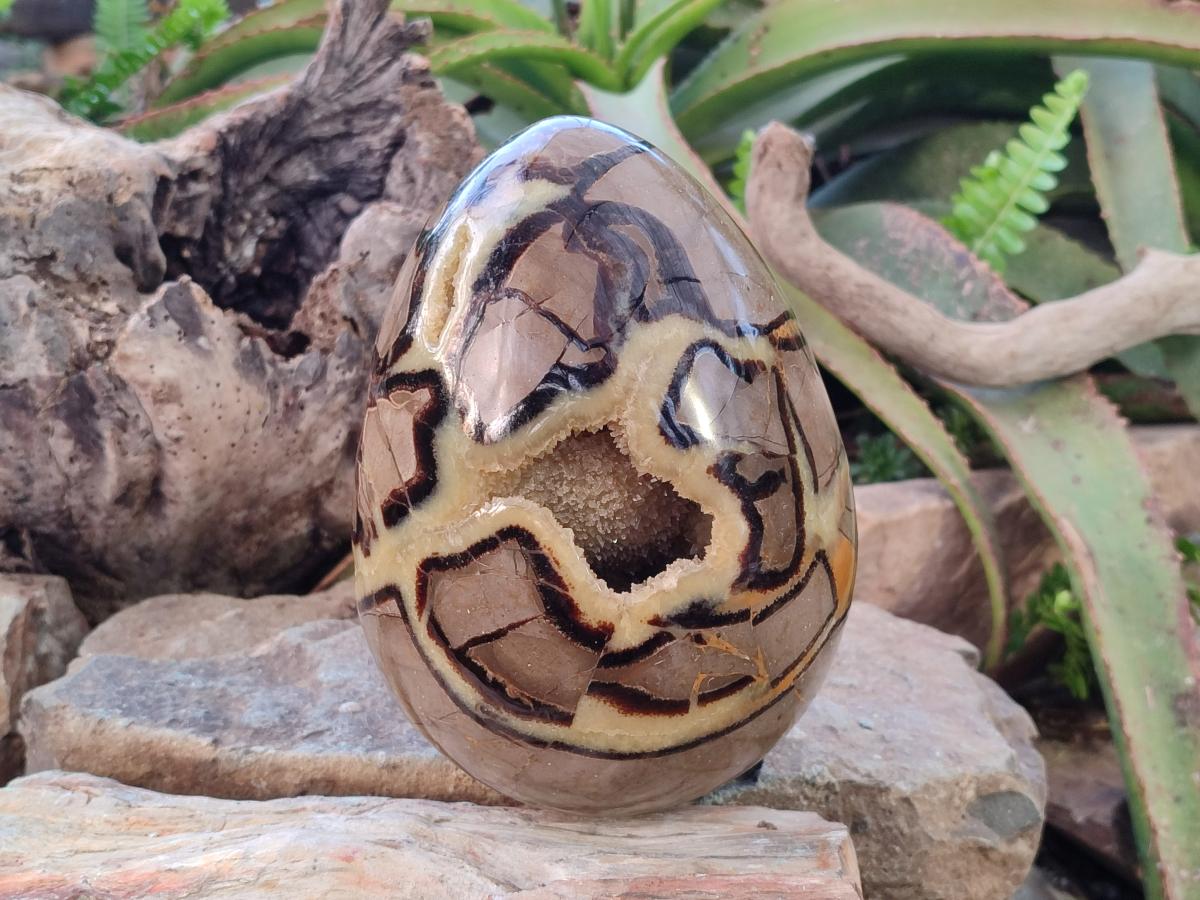 Polished Large Septerye Egg x 1 From Mahajanga, Madagascar - Toprock Gemstones and Minerals 