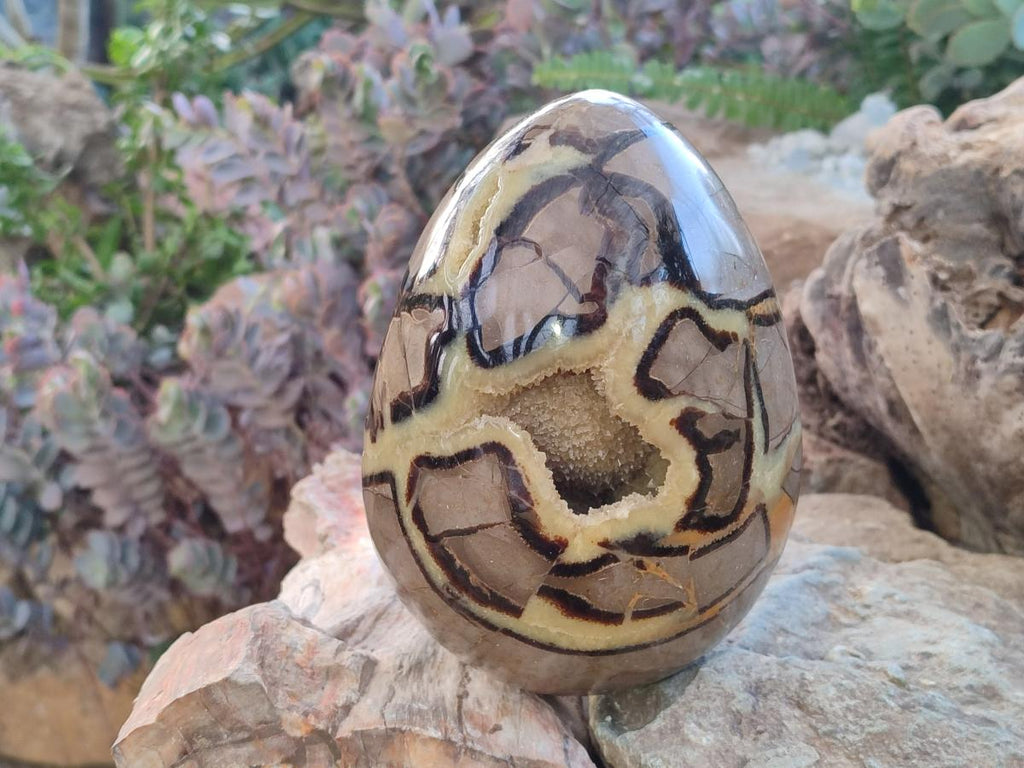 Polished Large Septerye Egg x 1 From Mahajanga, Madagascar - Toprock Gemstones and Minerals 