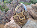 Polished Large Septerye Egg x 1 From Mahajanga, Madagascar - Toprock Gemstones and Minerals 
