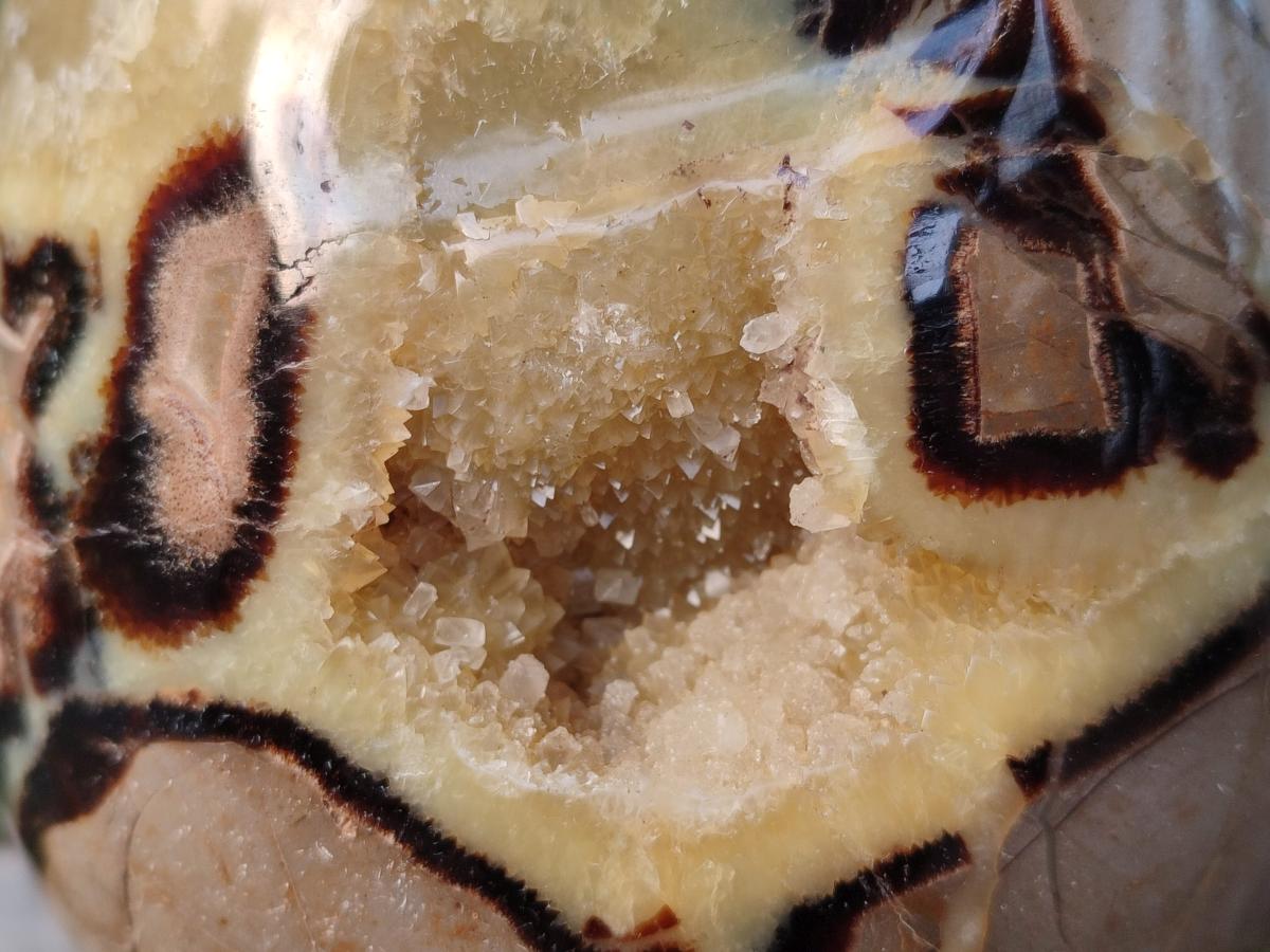 Polished Large Septerye Egg x 1 From Mahajanga, Madagascar - Toprock Gemstones and Minerals 