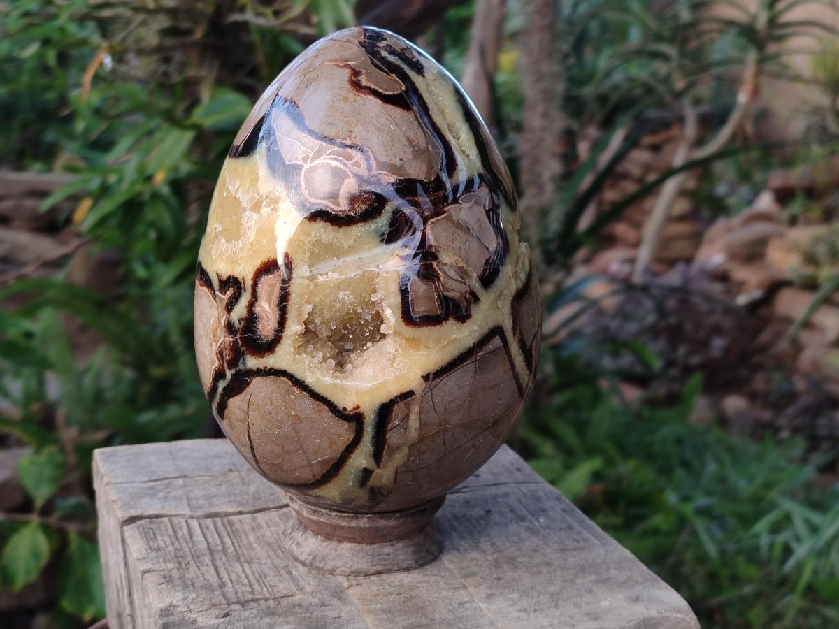Polished Large Septerye Egg x 1 From Mahajanga, Madagascar - Toprock Gemstones and Minerals 