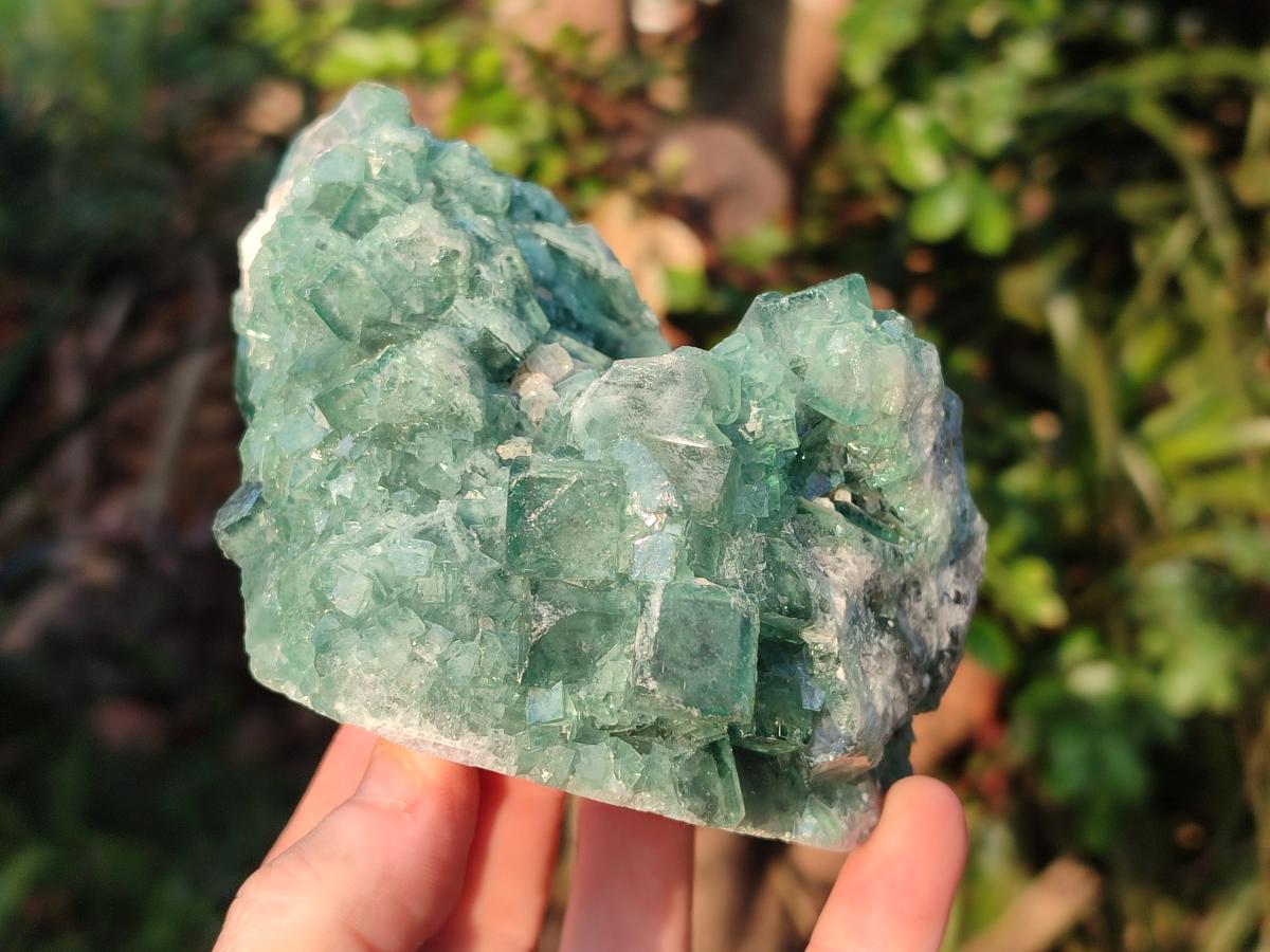 Natural Large Green Cubic Fluorite Specimens x 3 From Mandrosonoro, Madagascar - Toprock Gemstones and Minerals 