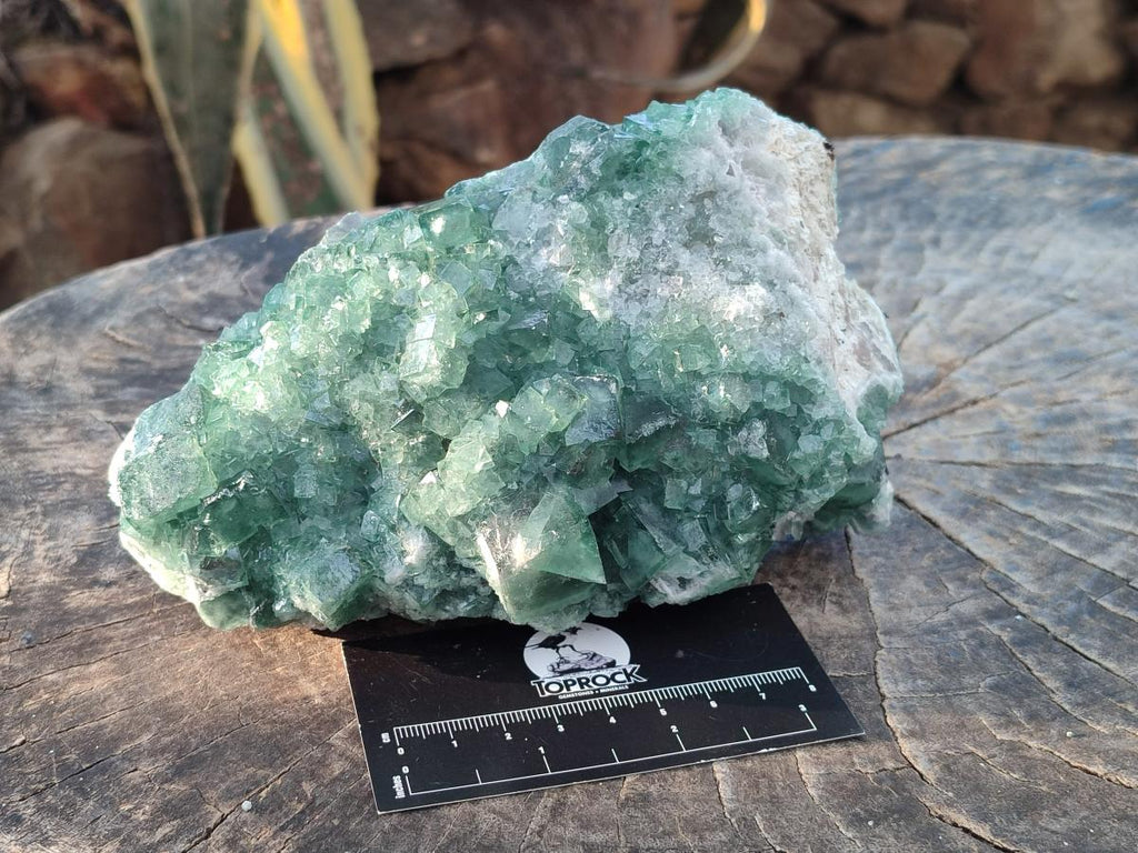 Natural Large Green Cubic Fluorite Specimens x 3 From Mandrosonoro, Madagascar - Toprock Gemstones and Minerals 