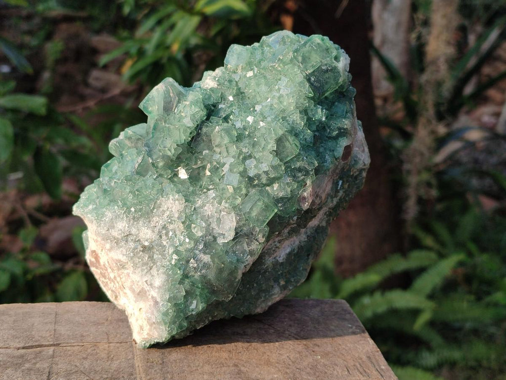 Natural Large Green Cubic Fluorite Specimens x 3 From Mandrosonoro, Madagascar - Toprock Gemstones and Minerals 
