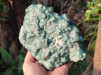 Natural Large Green Cubic Fluorite Specimens x 3 From Mandrosonoro, Madagascar - Toprock Gemstones and Minerals 