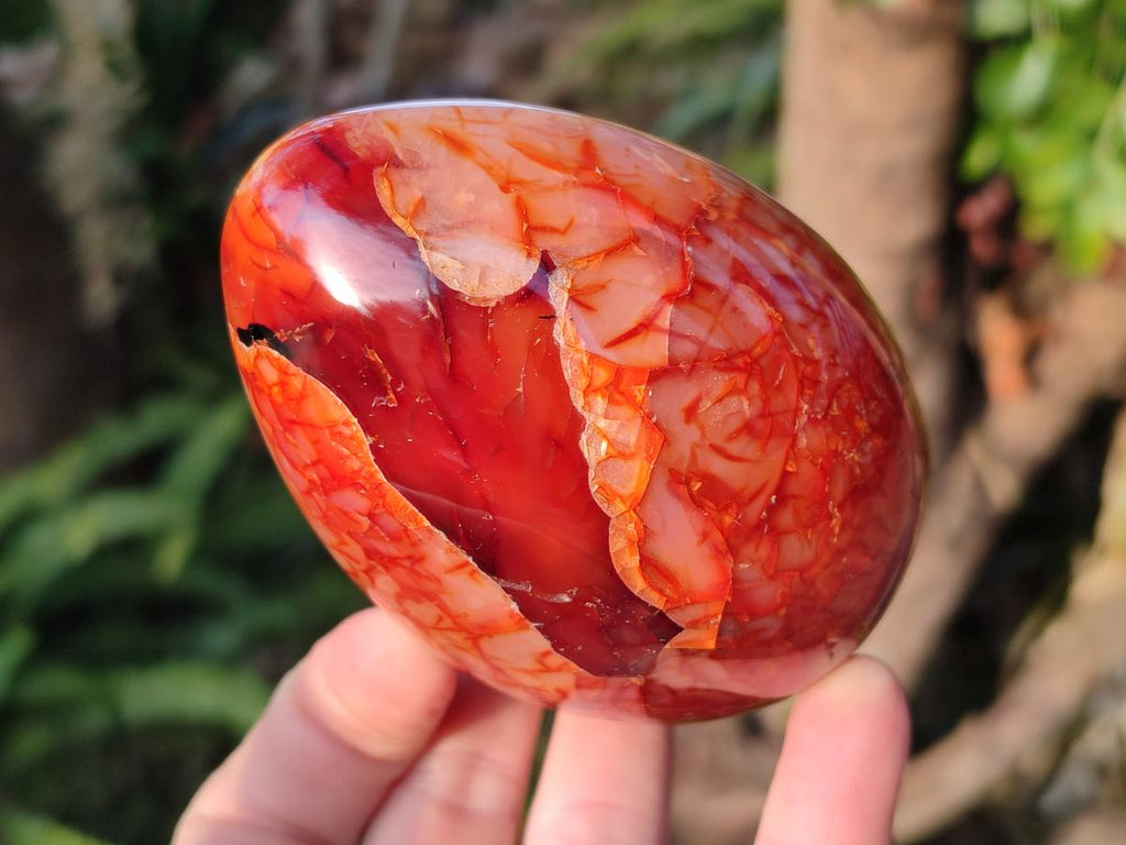 Polished Large Carnelian Agate Gemstone Egg x 3 From Madagascar - Toprock Gemstones and Minerals 