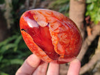 Polished Large Carnelian Agate Gemstone Egg x 3 From Madagascar - Toprock Gemstones and Minerals 