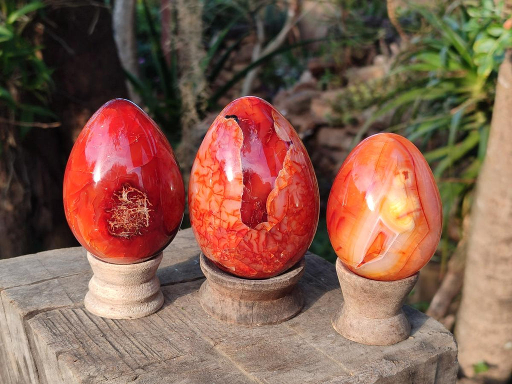 Polished Large Carnelian Agate Gemstone Egg x 3 From Madagascar - Toprock Gemstones and Minerals 