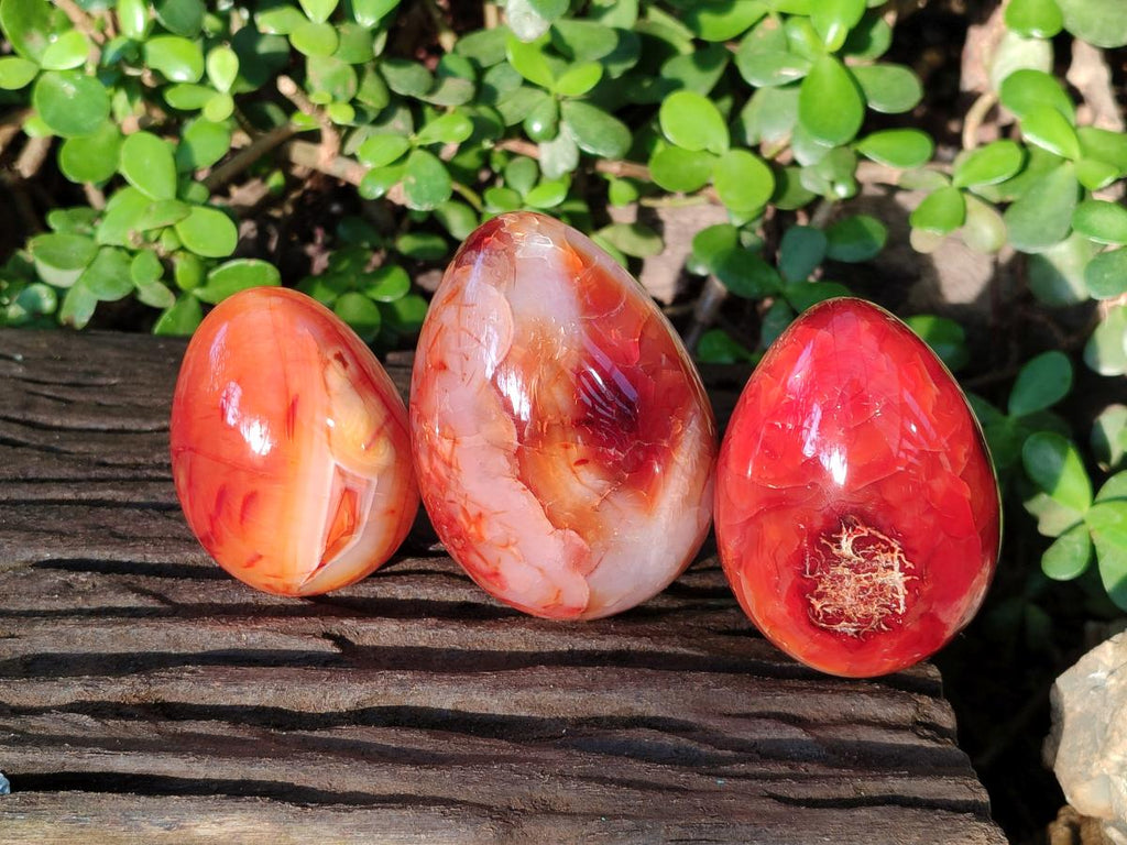 Polished Large Carnelian Agate Gemstone Egg x 3 From Madagascar - Toprock Gemstones and Minerals 
