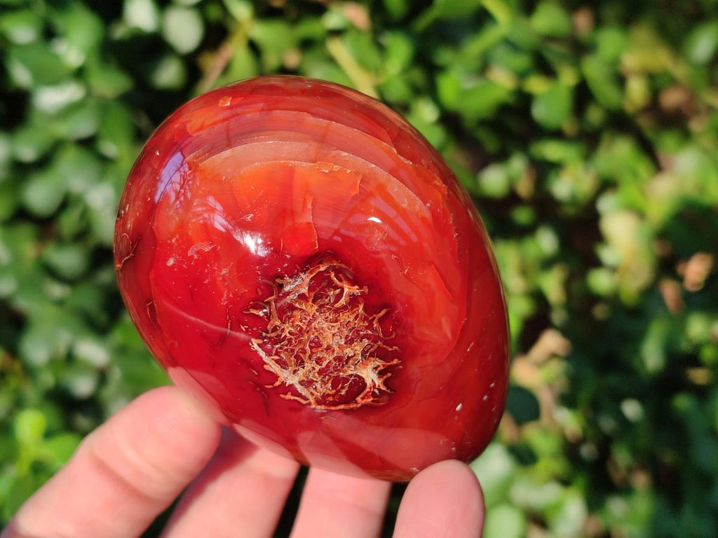 Polished Large Carnelian Agate Gemstone Egg x 3 From Madagascar - Toprock Gemstones and Minerals 