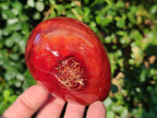 Polished Large Carnelian Agate Gemstone Egg x 3 From Madagascar - Toprock Gemstones and Minerals 
