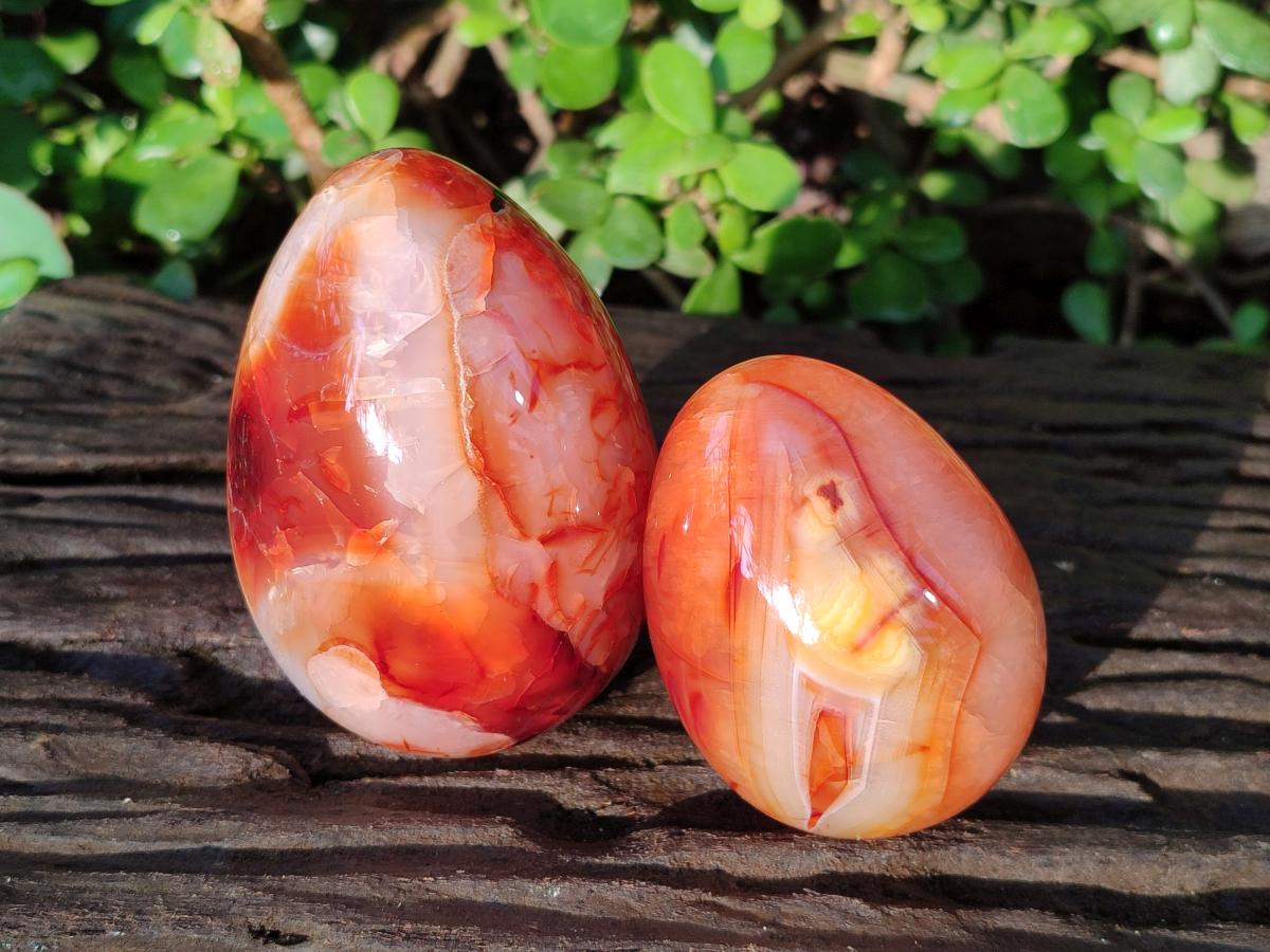 Polished Large Carnelian Agate Gemstone Egg x 3 From Madagascar - Toprock Gemstones and Minerals 