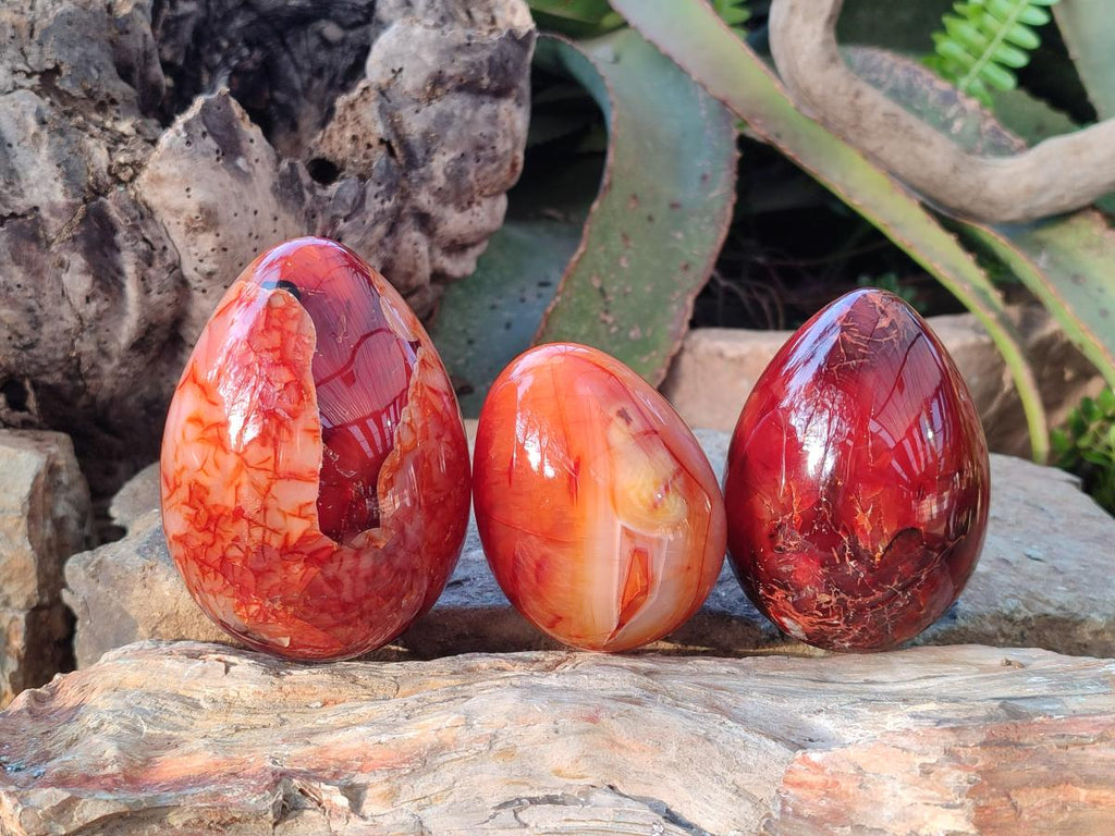 Polished Large Carnelian Agate Gemstone Egg x 3 From Madagascar - Toprock Gemstones and Minerals 