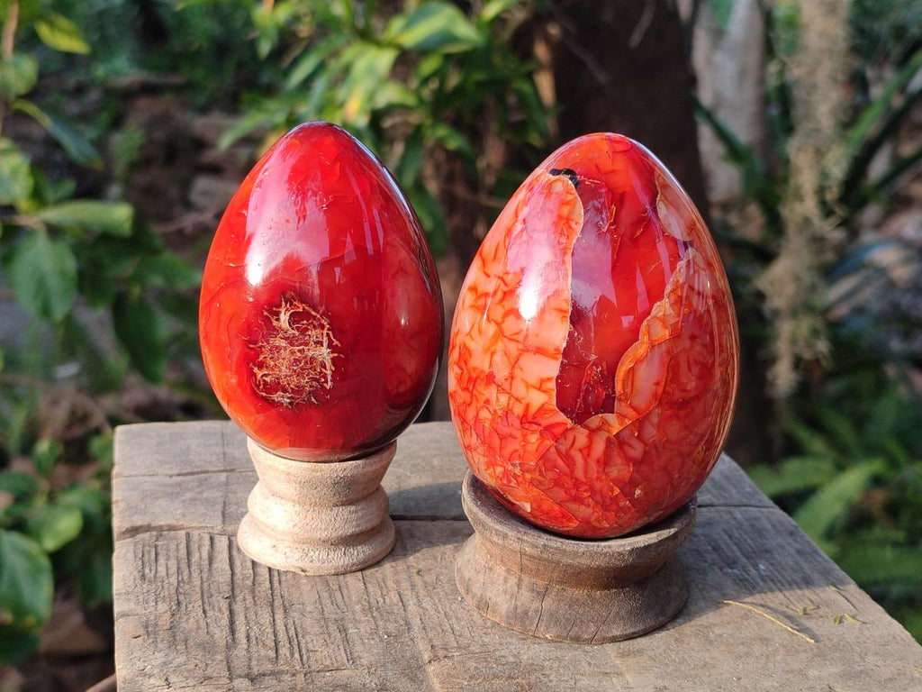 Polished Large Carnelian Agate Gemstone Egg x 3 From Madagascar - Toprock Gemstones and Minerals 