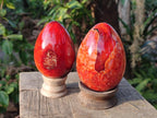 Polished Large Carnelian Agate Gemstone Egg x 3 From Madagascar - Toprock Gemstones and Minerals 