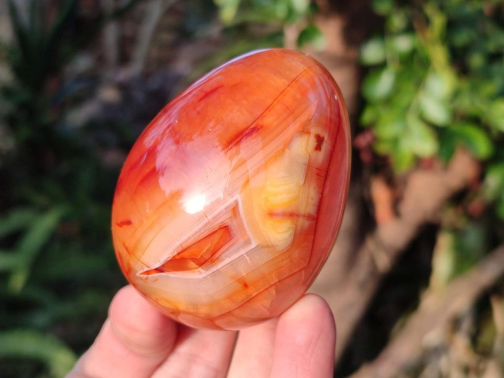 Polished Large Carnelian Agate Gemstone Egg x 3 From Madagascar - Toprock Gemstones and Minerals 