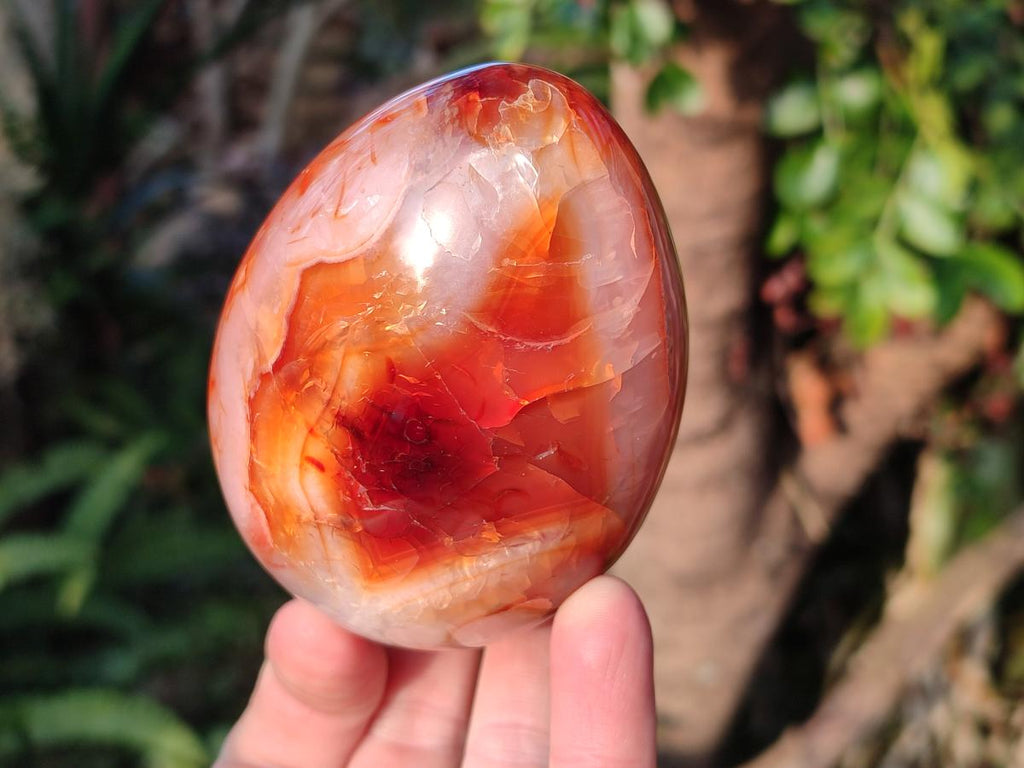 Polished Large Carnelian Agate Gemstone Egg x 3 From Madagascar - Toprock Gemstones and Minerals 