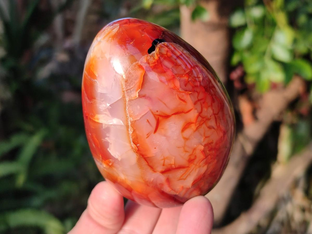 Polished Large Carnelian Agate Gemstone Egg x 3 From Madagascar - Toprock Gemstones and Minerals 