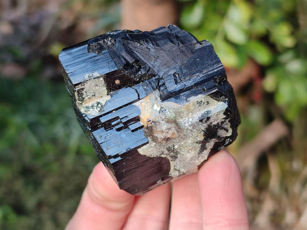 Natural Terminated Schorl Black Tourmaline Crystals x 6 From Erongo, Namibia - Toprock Gemstones and Minerals 