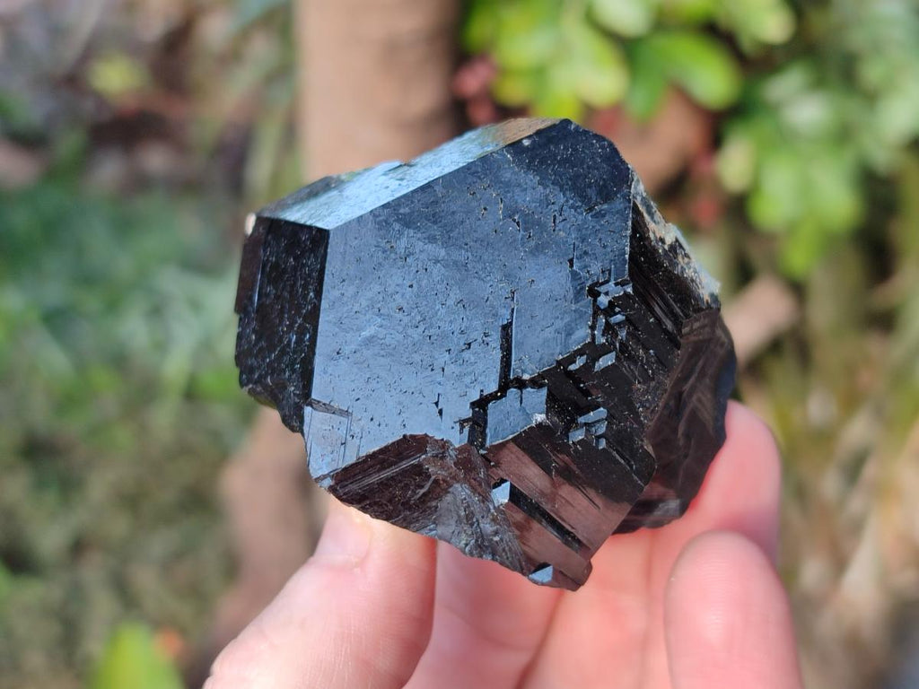Natural Terminated Schorl Black Tourmaline Crystals x 6 From Erongo, Namibia - Toprock Gemstones and Minerals 