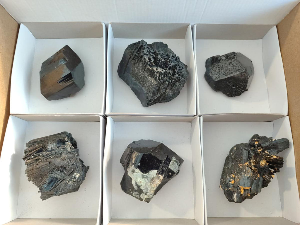 Natural Terminated Schorl Black Tourmaline Crystals x 6 From Erongo, Namibia - Toprock Gemstones and Minerals 
