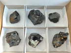 Natural Terminated Schorl Black Tourmaline Crystals x 6 From Erongo, Namibia - Toprock Gemstones and Minerals 