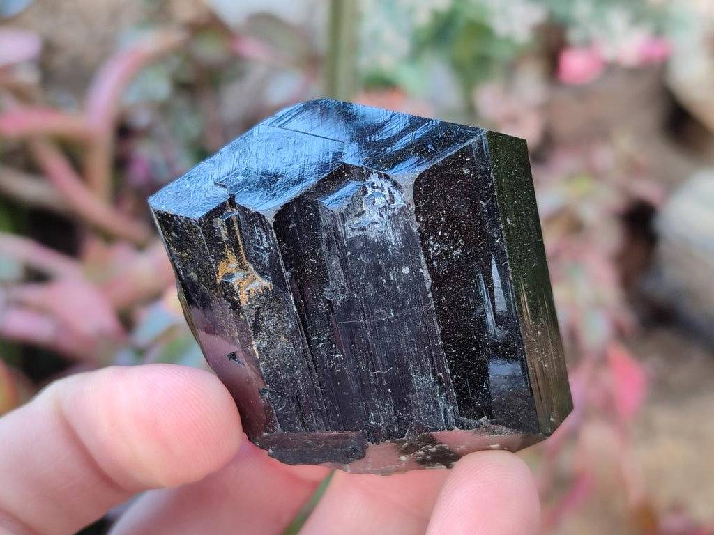 Natural Terminated Schorl Black Tourmaline Crystals x 6 From Erongo, Namibia - Toprock Gemstones and Minerals 