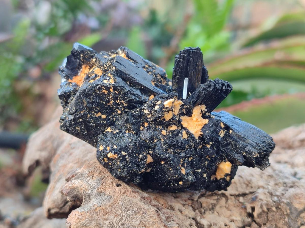 Natural Terminated Schorl Black Tourmaline Crystals x 6 From Erongo, Namibia - Toprock Gemstones and Minerals 