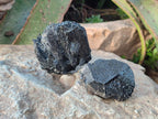 Natural Terminated Schorl Black Tourmaline Crystals x 6 From Erongo, Namibia - Toprock Gemstones and Minerals 