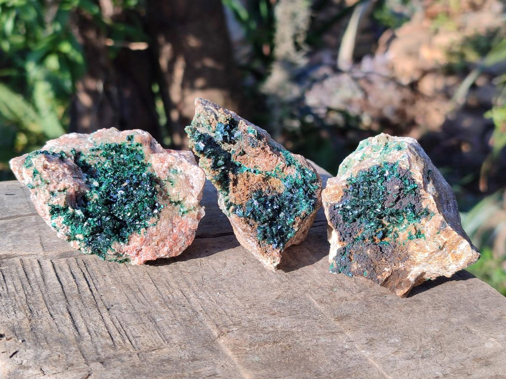 Natural Crystalline Malachite Specimens with Mellite x 12 From Tenke Fungurume, Congo - Toprock Gemstones and Minerals 