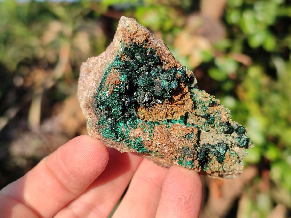Natural Crystalline Malachite Specimens with Mellite x 12 From Tenke Fungurume, Congo - Toprock Gemstones and Minerals 