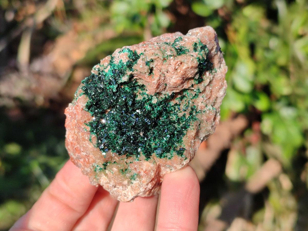 Natural Crystalline Malachite Specimens with Mellite x 12 From Tenke Fungurume, Congo - Toprock Gemstones and Minerals 