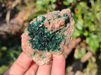 Natural Crystalline Malachite Specimens with Mellite x 12 From Tenke Fungurume, Congo - Toprock Gemstones and Minerals 