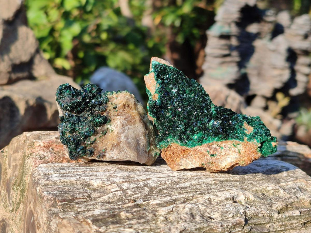 Natural Crystalline Malachite Specimens with Mellite x 12 From Tenke Fungurume, Congo - Toprock Gemstones and Minerals 