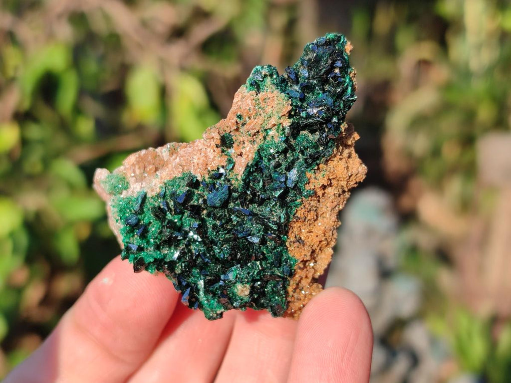 Natural Crystalline Malachite Specimens with Mellite x 12 From Tenke Fungurume, Congo - Toprock Gemstones and Minerals 