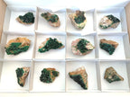 Natural Crystalline Malachite Specimens with Mellite x 12 From Tenke Fungurume, Congo - Toprock Gemstones and Minerals 