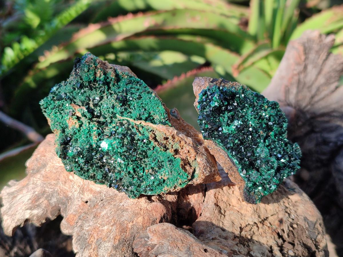 Natural Crystalline Malachite Specimens with Mellite x 12 From Tenke Fungurume, Congo - Toprock Gemstones and Minerals 