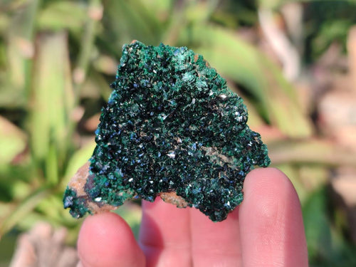 Natural Crystalline Malachite Specimens with Mellite x 12 From Tenke Fungurume, Congo - Toprock Gemstones and Minerals 