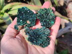 Natural Crystalline Malachite Specimens with Mellite x 12 From Tenke Fungurume, Congo - Toprock Gemstones and Minerals 