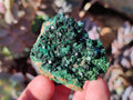 Natural Crystalline Malachite Specimens with Mellite x 12 From Tenke Fungurume, Congo - Toprock Gemstones and Minerals 