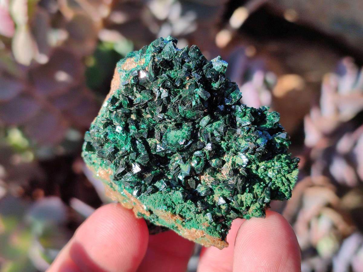 Natural Crystalline Malachite Specimens with Mellite x 12 From Tenke Fungurume, Congo - Toprock Gemstones and Minerals 