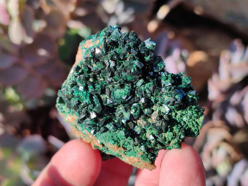 Natural Crystalline Malachite Specimens with Mellite x 12 From Tenke Fungurume, Congo - Toprock Gemstones and Minerals 